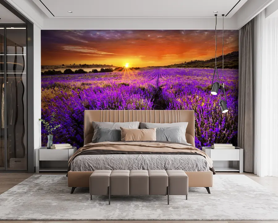 murales de pared Flor, nube y cielo u57609