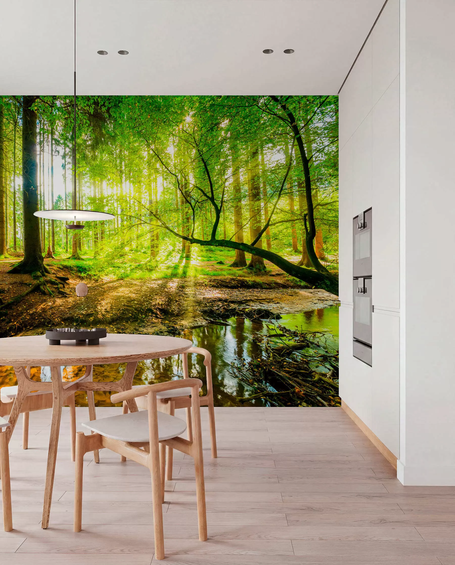 murales de pared Arroyo del bosque al sol u93621