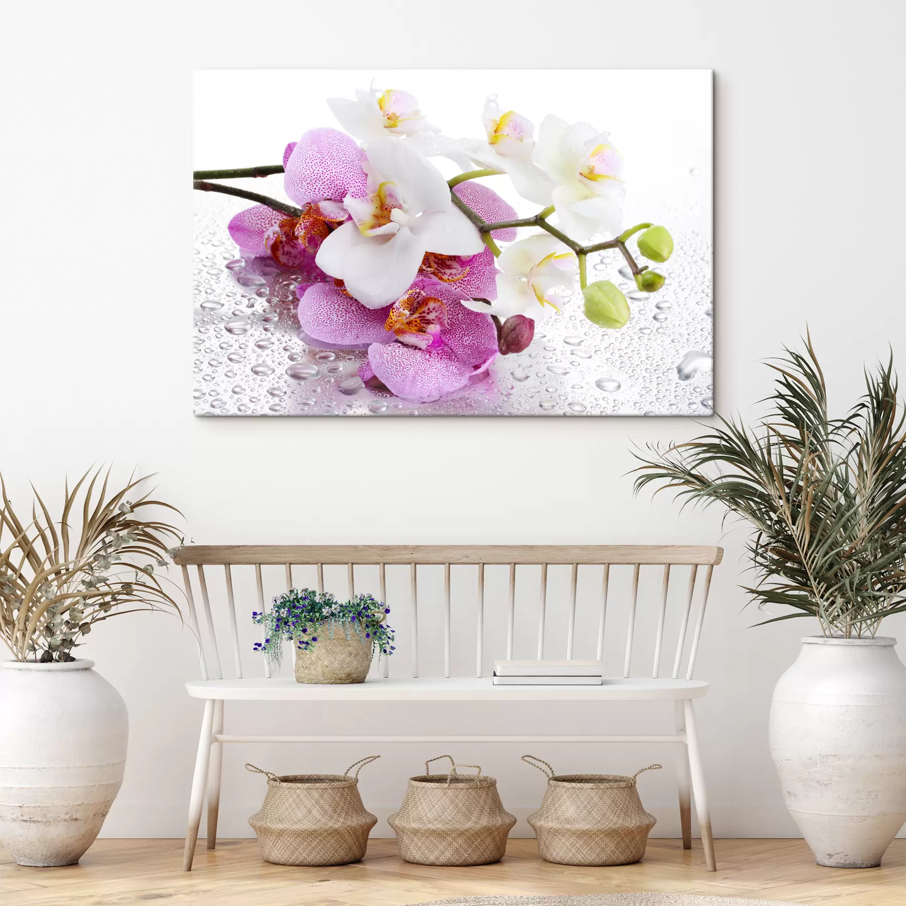 murales de pared Flor, planta y pétalo s15063