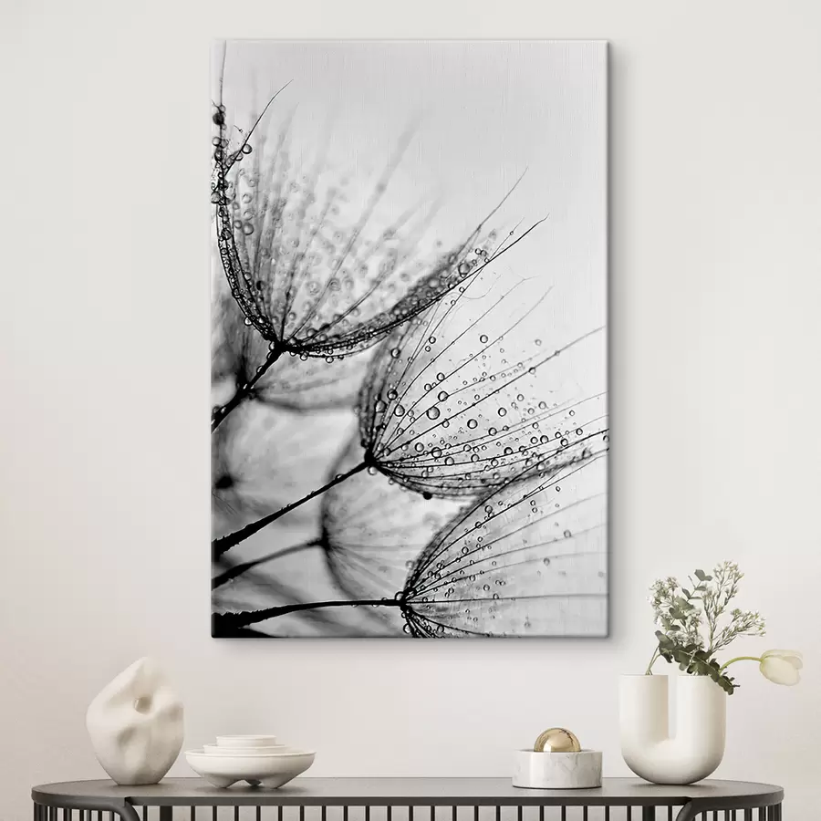 murales de pared Planta, ramita y línea. s20828