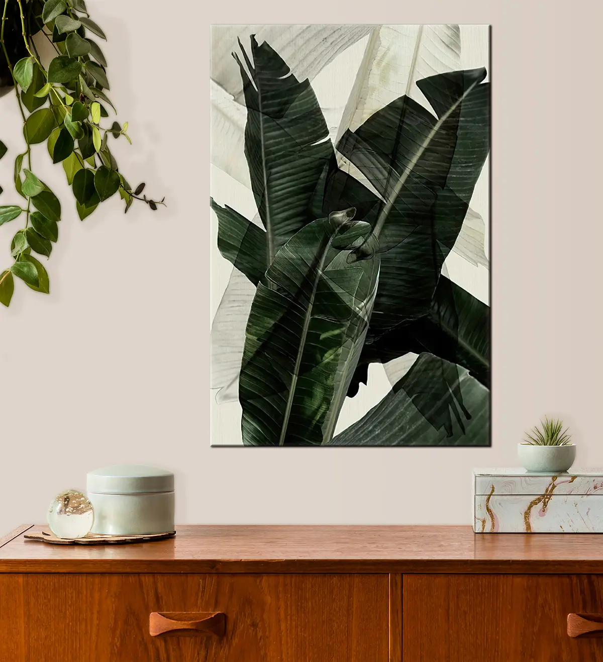 murales de pared Planta, planta terrestre y hoja de plátano s21747