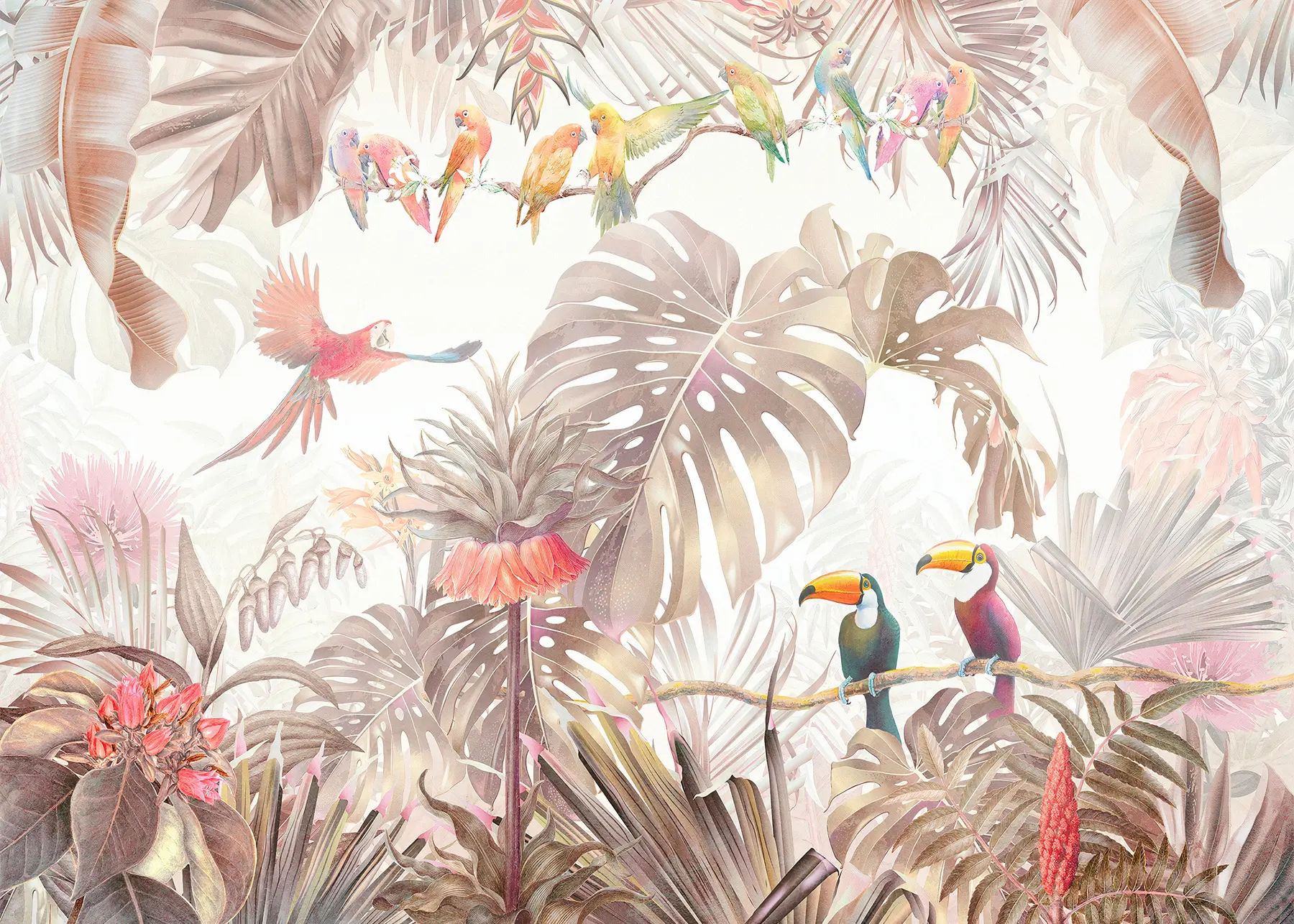 murales de pared Pájaros brillantes y loros en los trópicos u74490