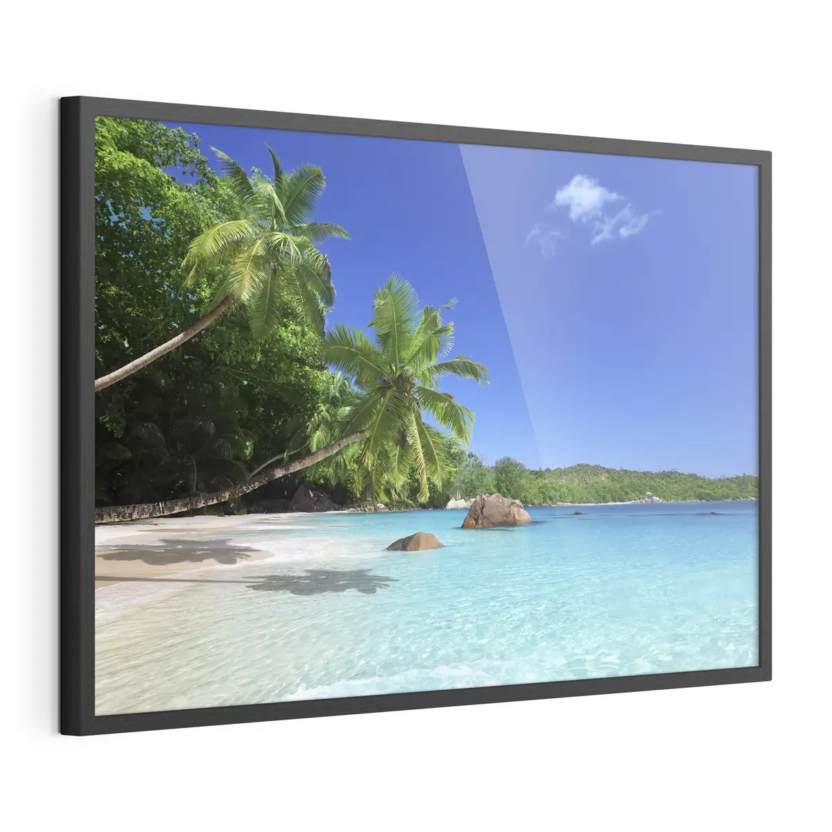 Poster Abrazo tropical f00029