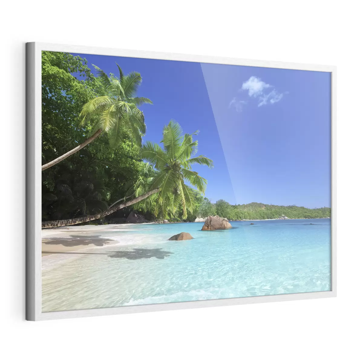 Poster Abrazo tropical f00029