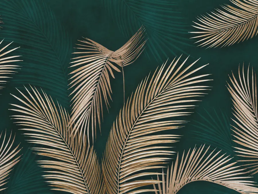 murales de pared Hojas tropicales sobre un fondo oscuro u94012