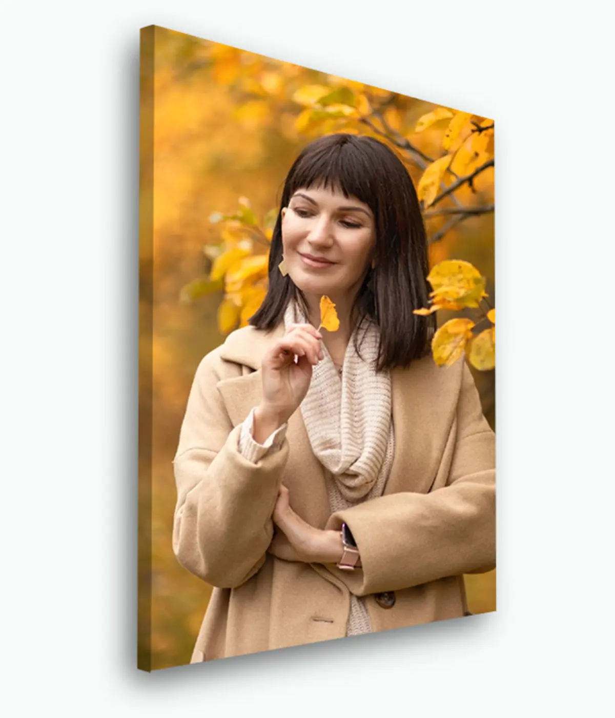 murales de pared Comprar una imagen a partir de una fotografía s33290