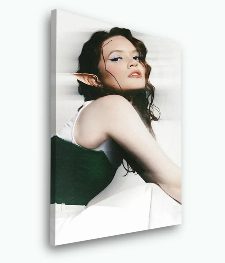 murales de pared Foto sobre lienzo s33454