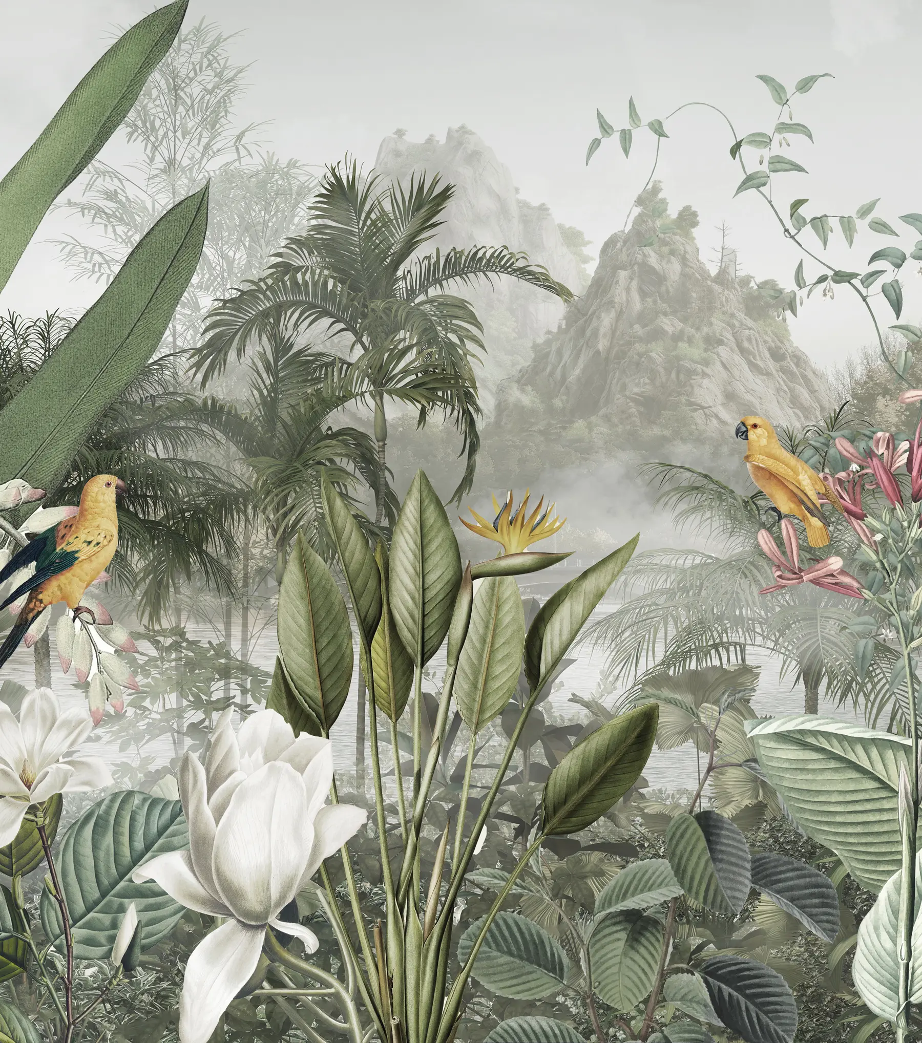 murales de pared selva tropical u95396