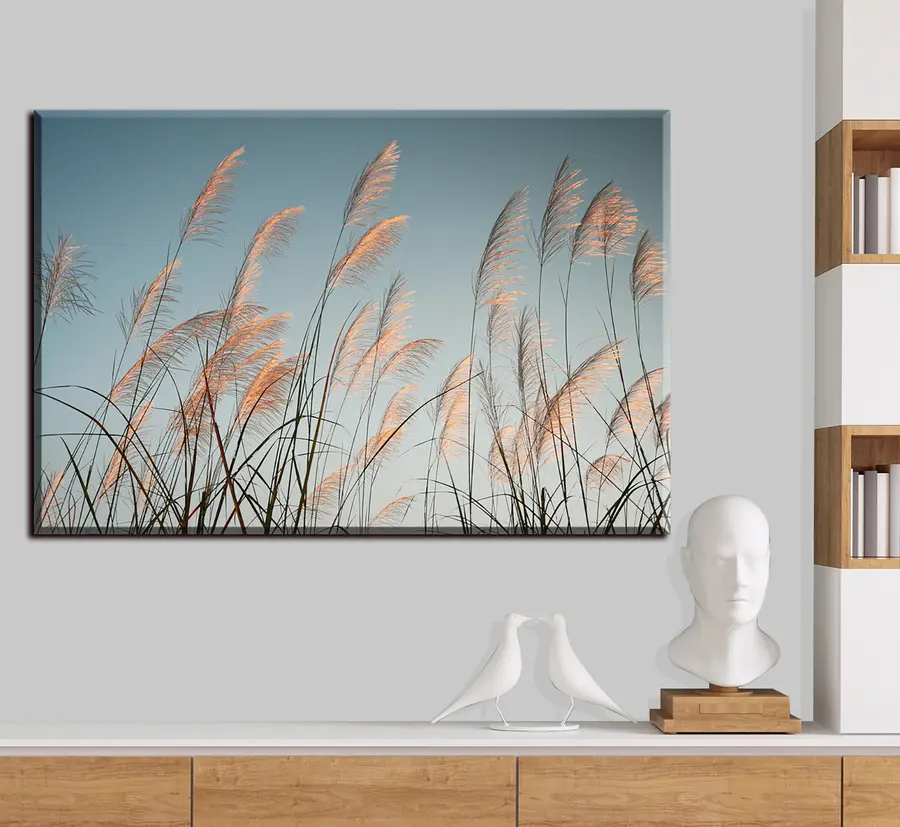 murales de pared Cielo, planta y rama s33593