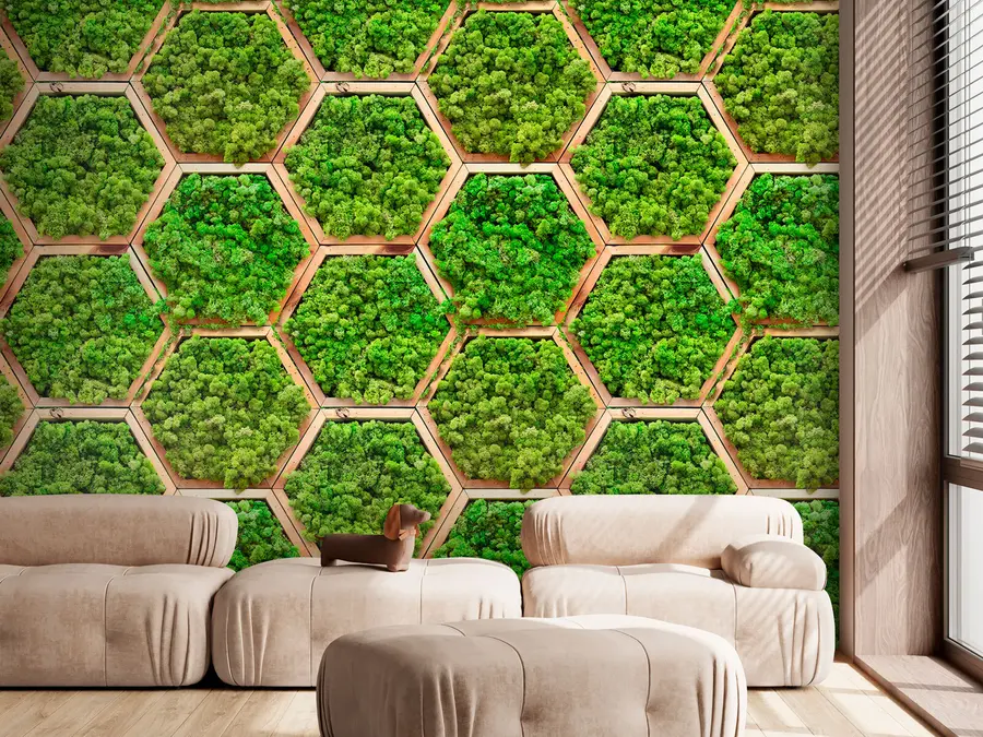 murales de pared Módulos de flores de musgo en marcos de madera hexagonales u95502