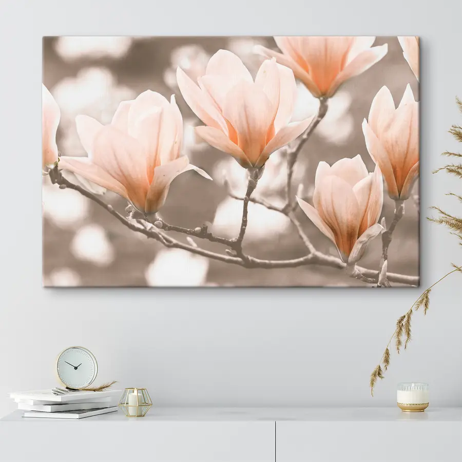 murales de pared Flor, planta y pétalo s35232