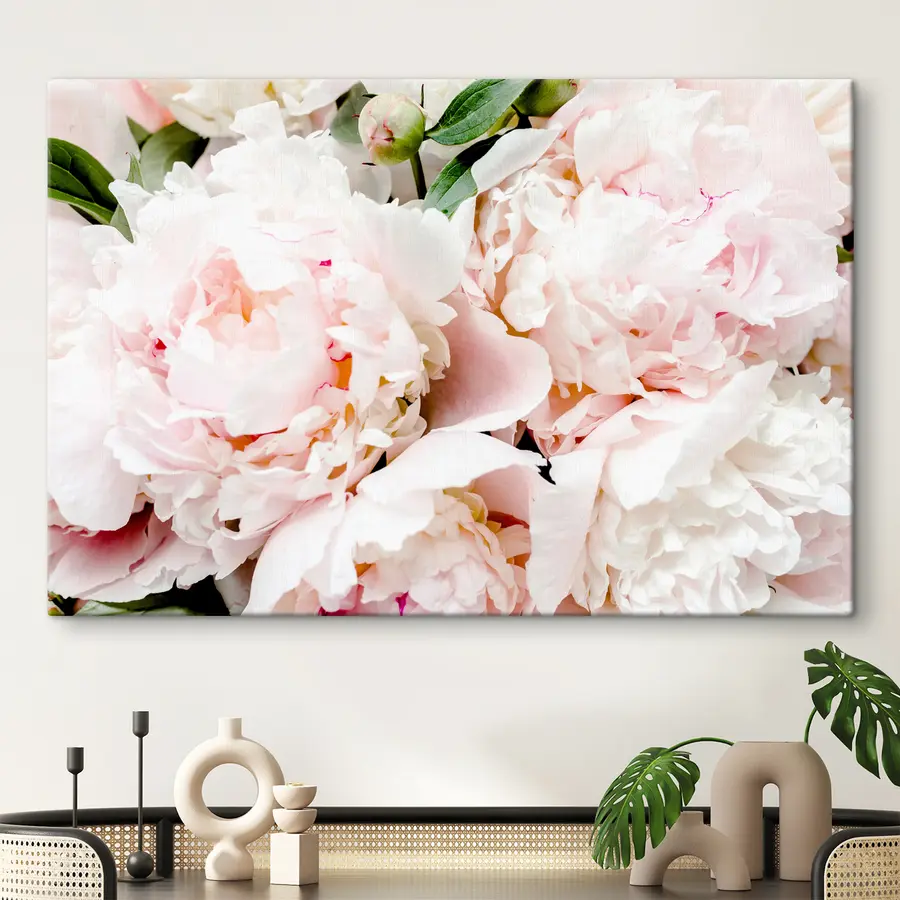 murales de pared Flor, planta y blanco s35241