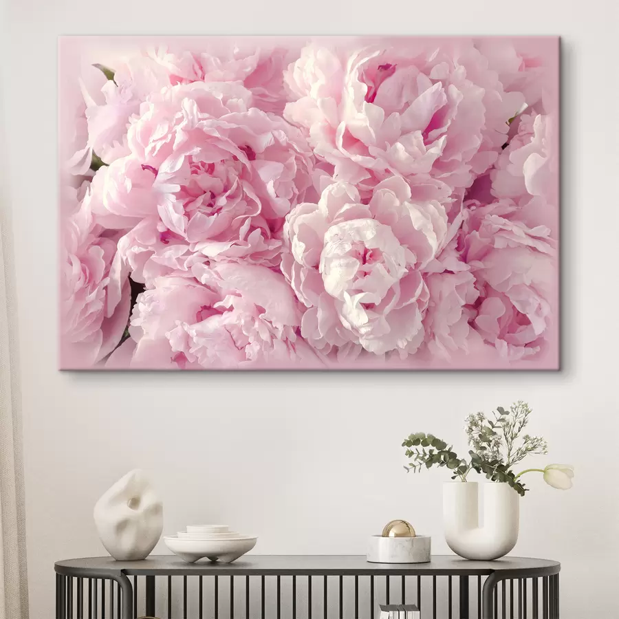 murales de pared Flor, pétalo y planta. s35248