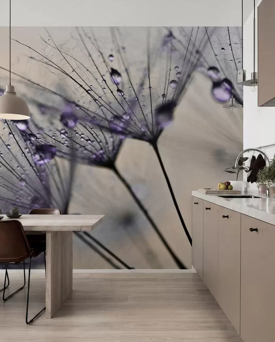 murales de pared Dientes de león con gotas de agua moradas u57557v3