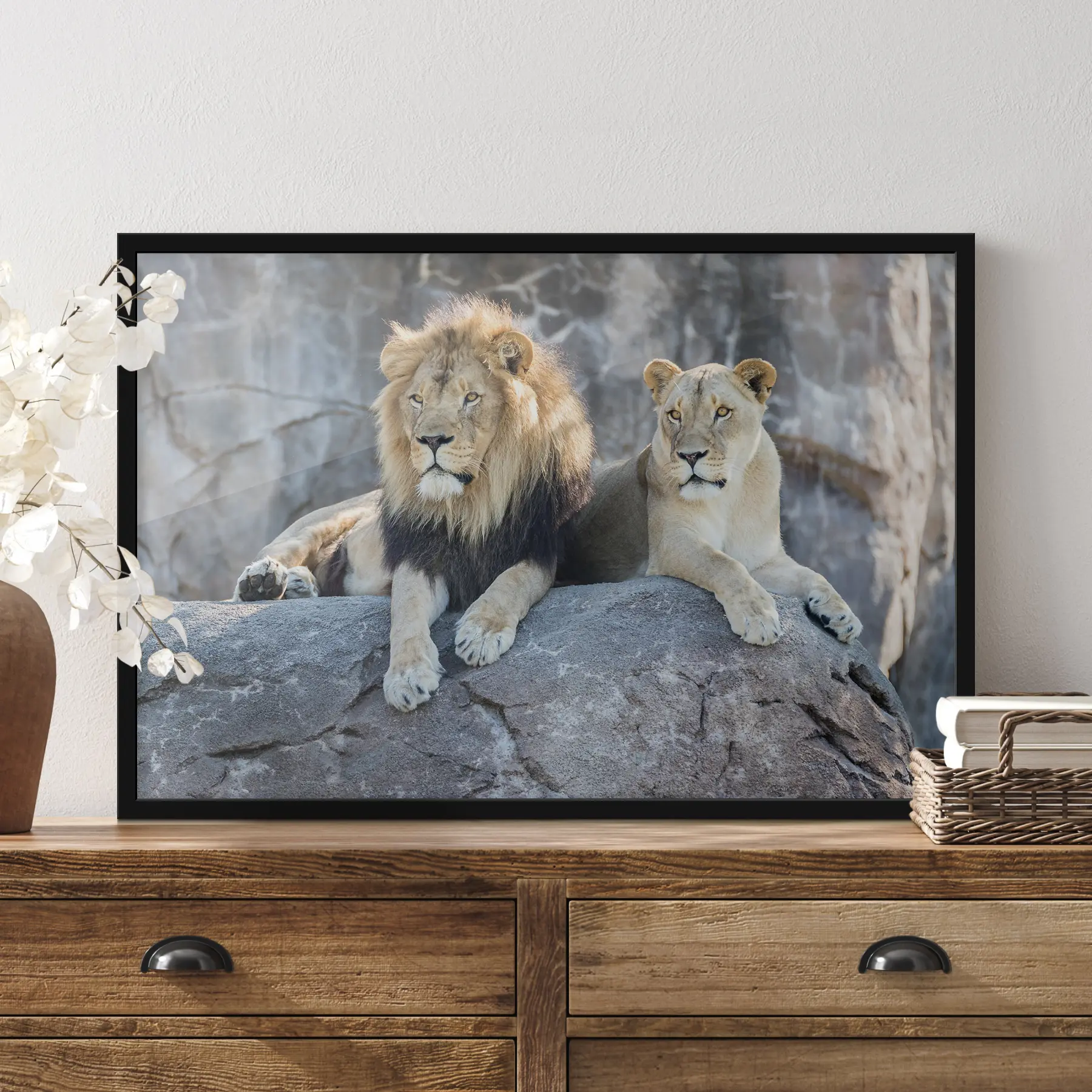 murales de pared Majestuosos leones descansando juntos pacíficamente f15278