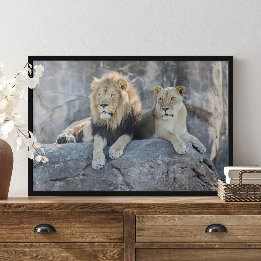murales de pared Majestuosos leones descansando juntos pacíficamente f15278