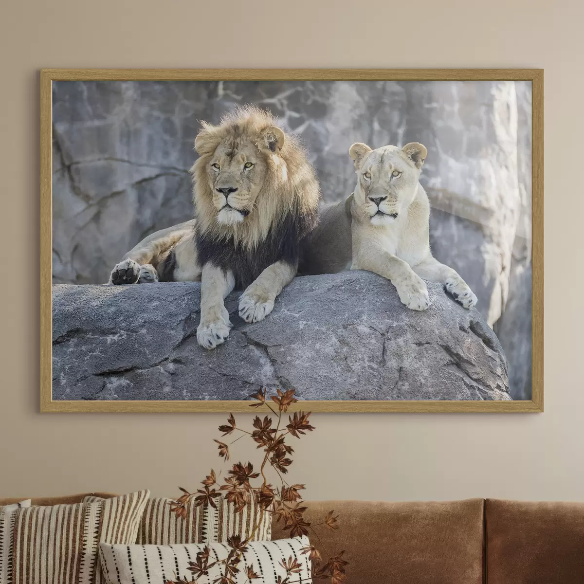 Poster Majestuosos leones descansando juntos pacíficamente f15278