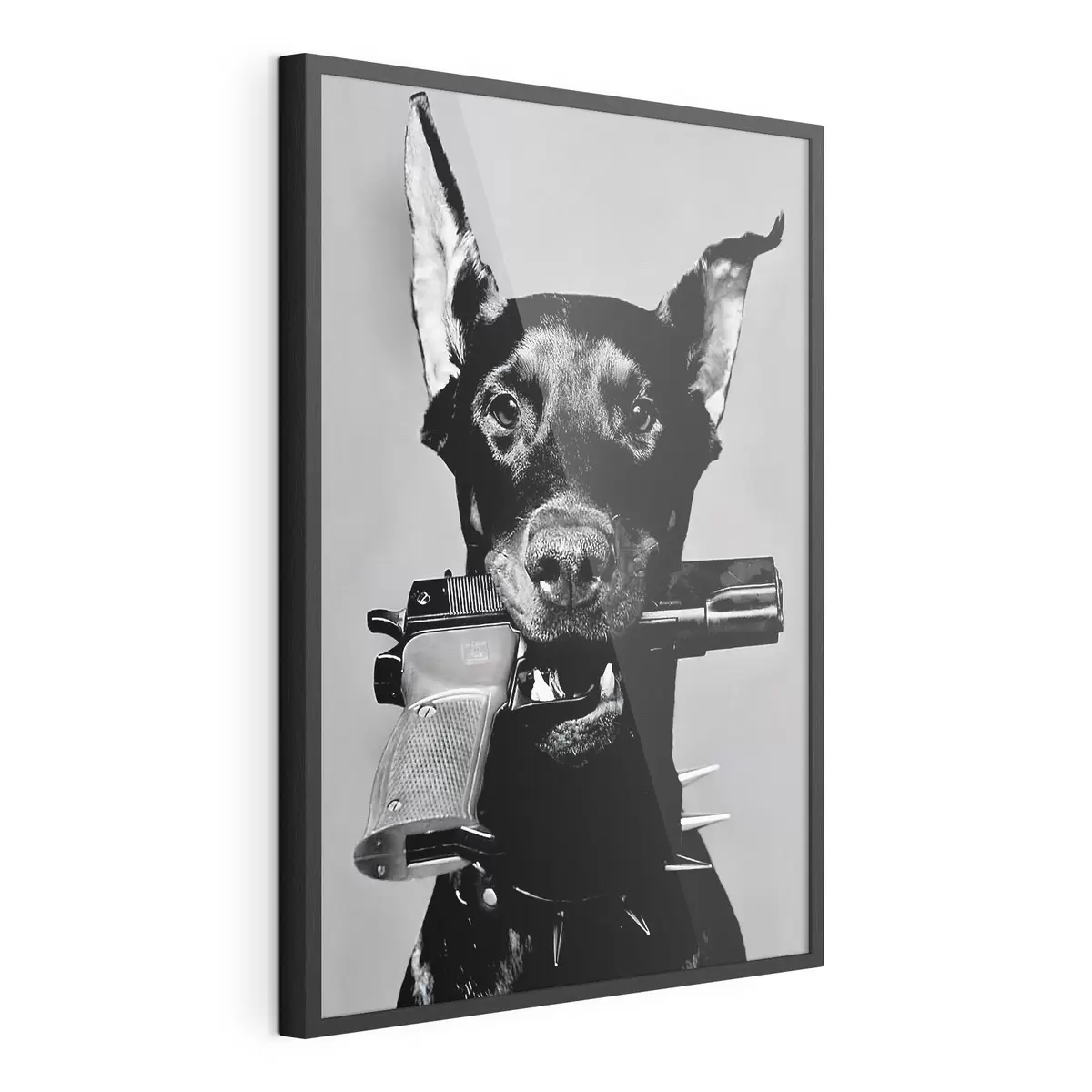 Poster Dóberman en blanco y negro f36177