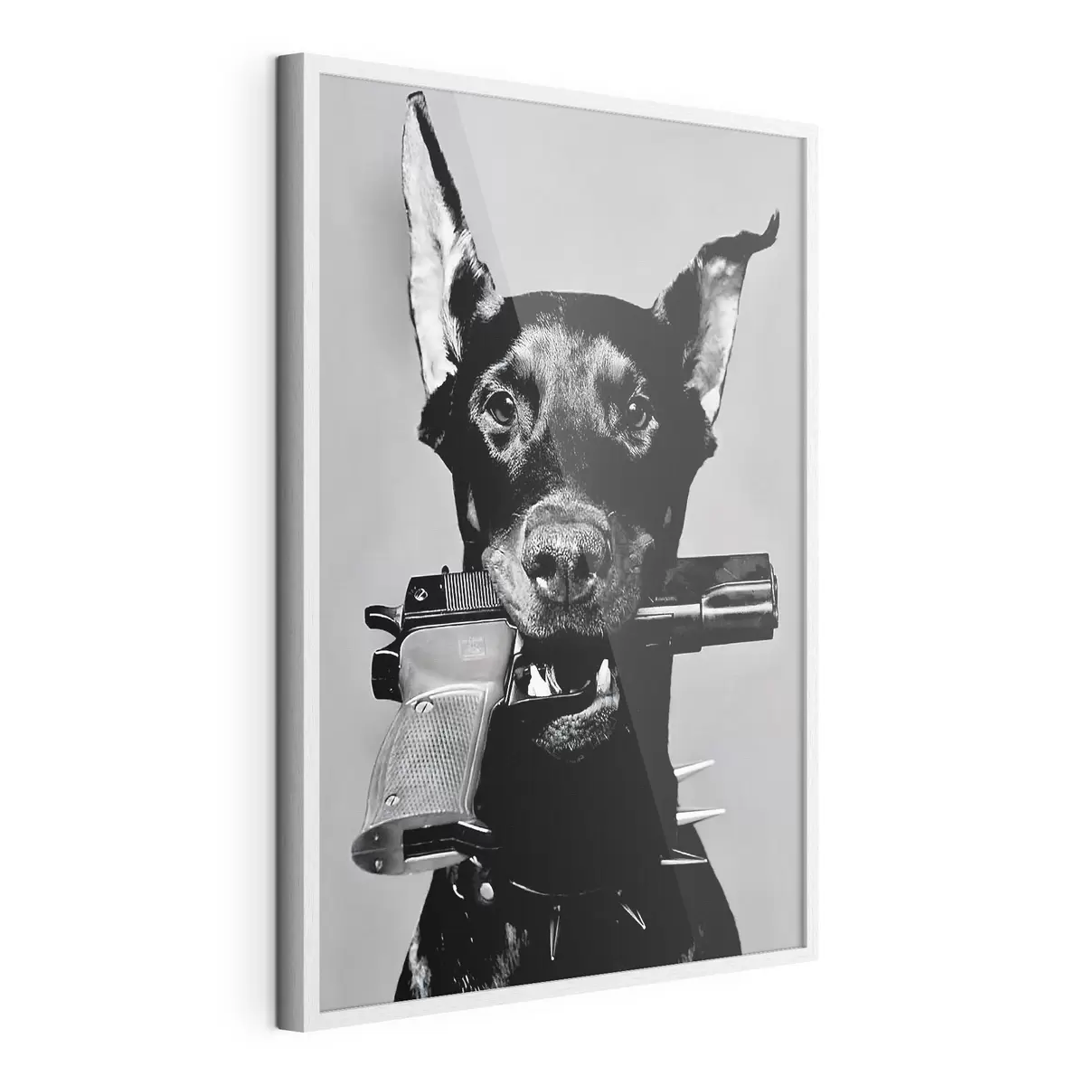 Poster Dóberman en blanco y negro f36177