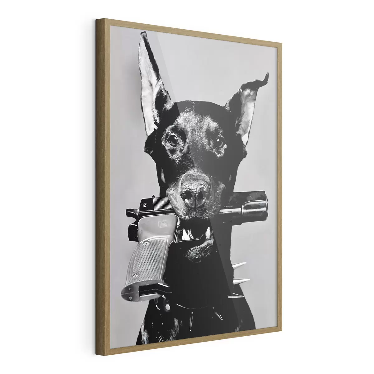 Poster Dóberman en blanco y negro f36177