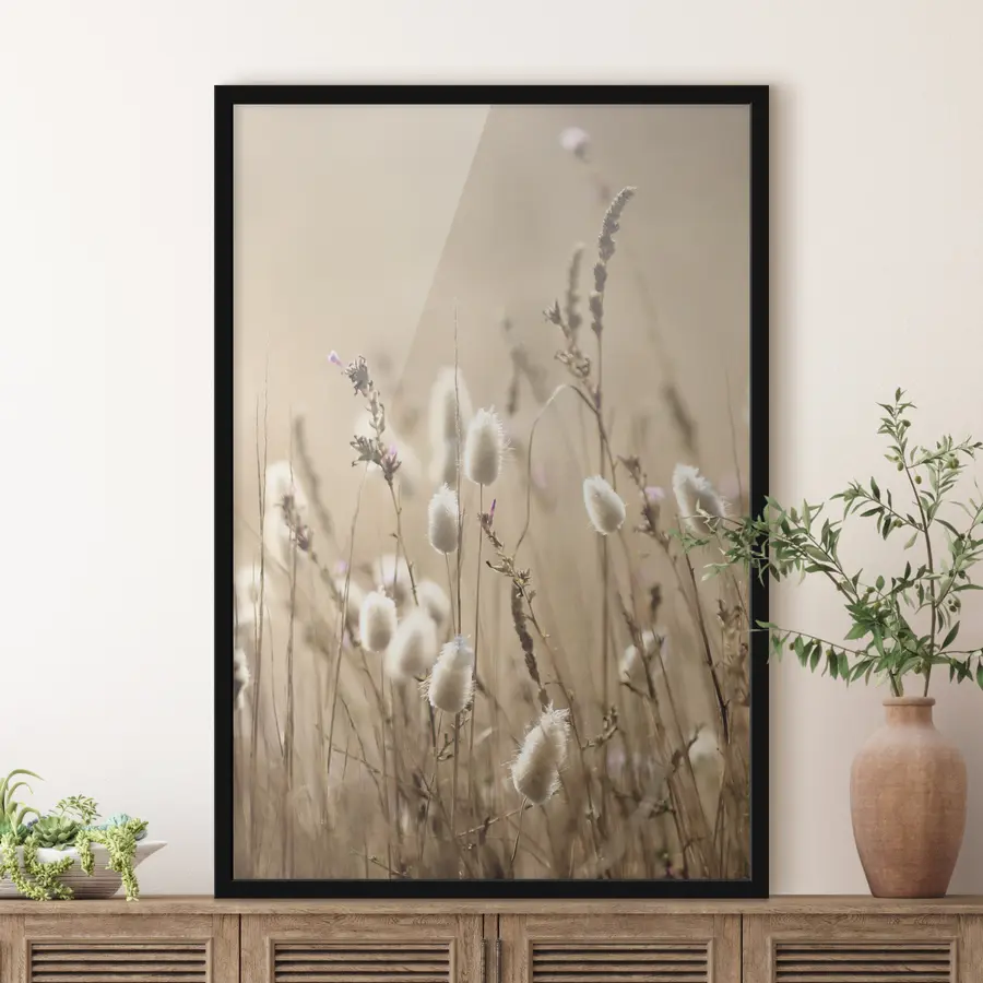 murales de pared Flores suaves a la luz dorada del sol f35256