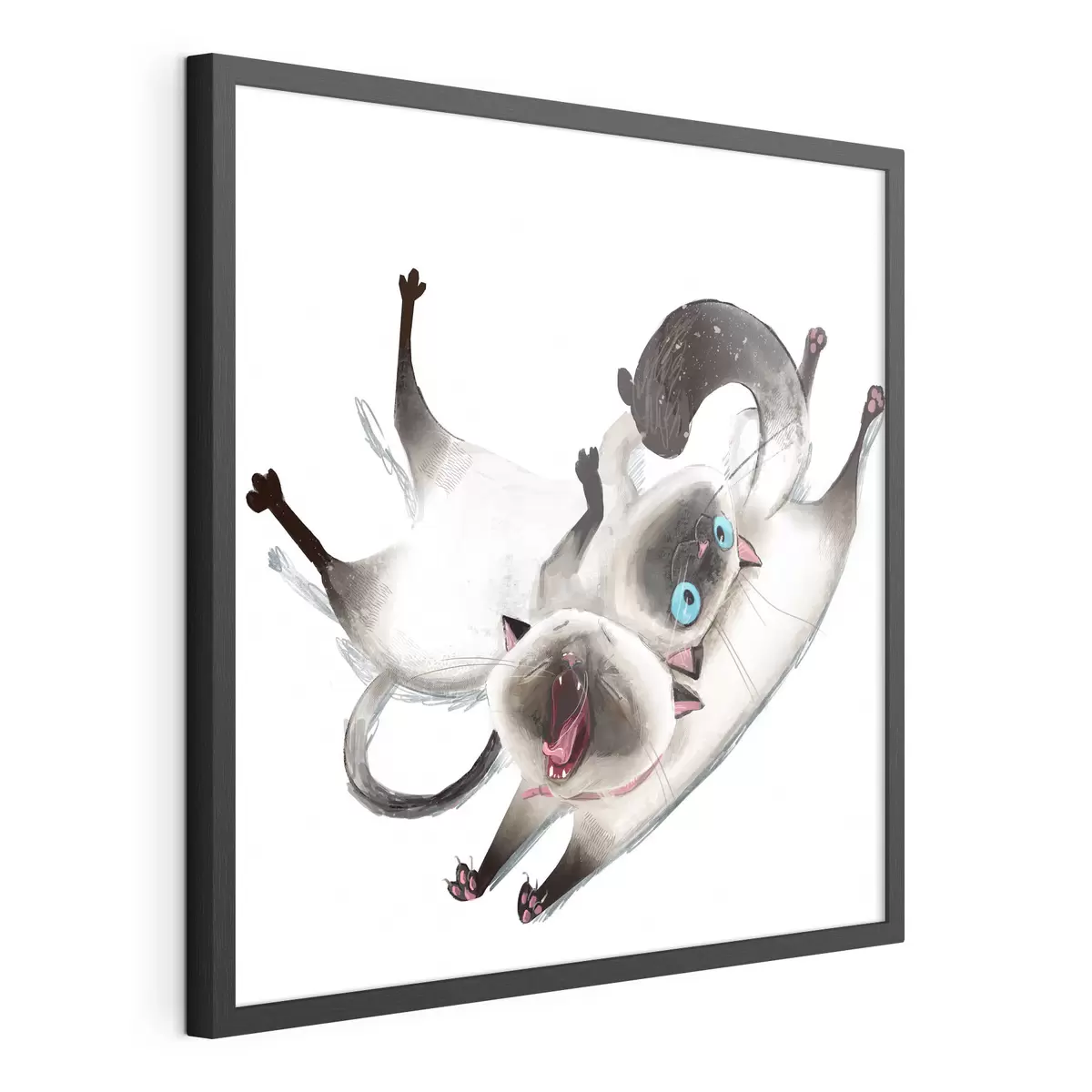 Poster Dos gatos siameses f34990