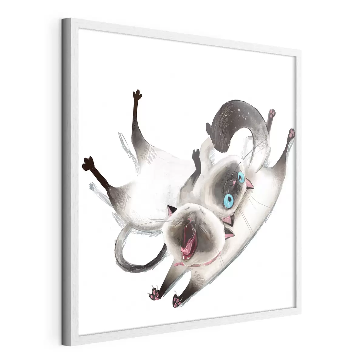 Poster Dos gatos siameses f34990
