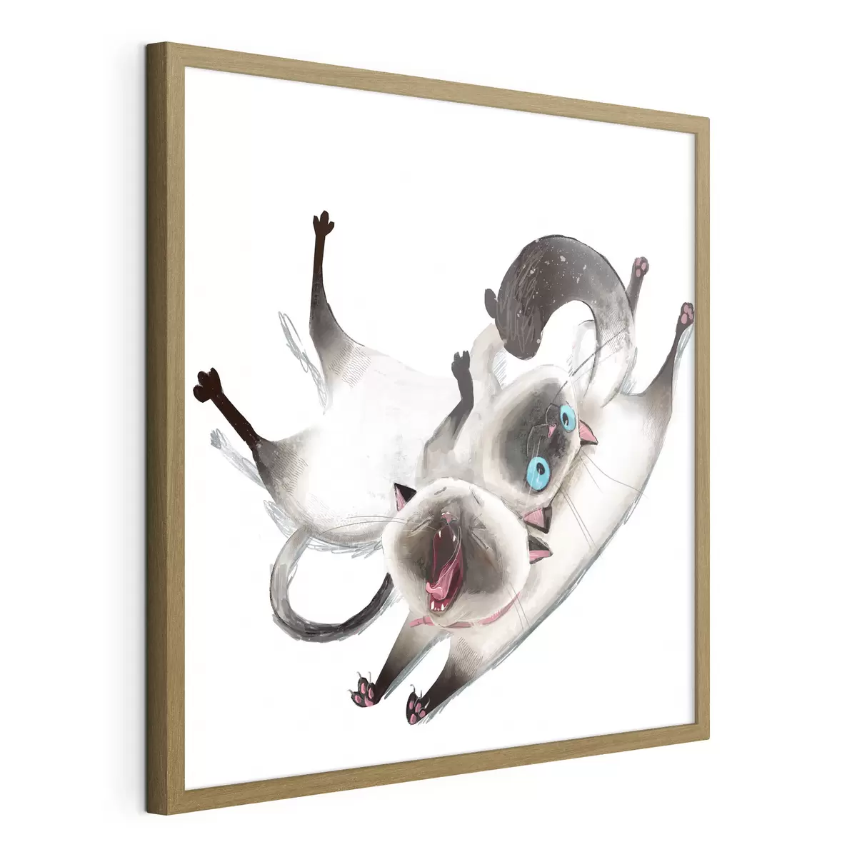 Poster Dos gatos siameses f34990