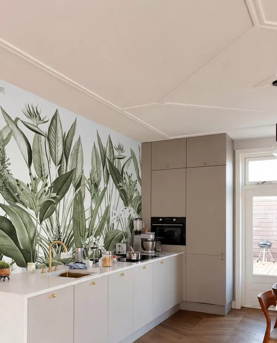 murales de pared Plantas tropicales color verde selva u96833v2