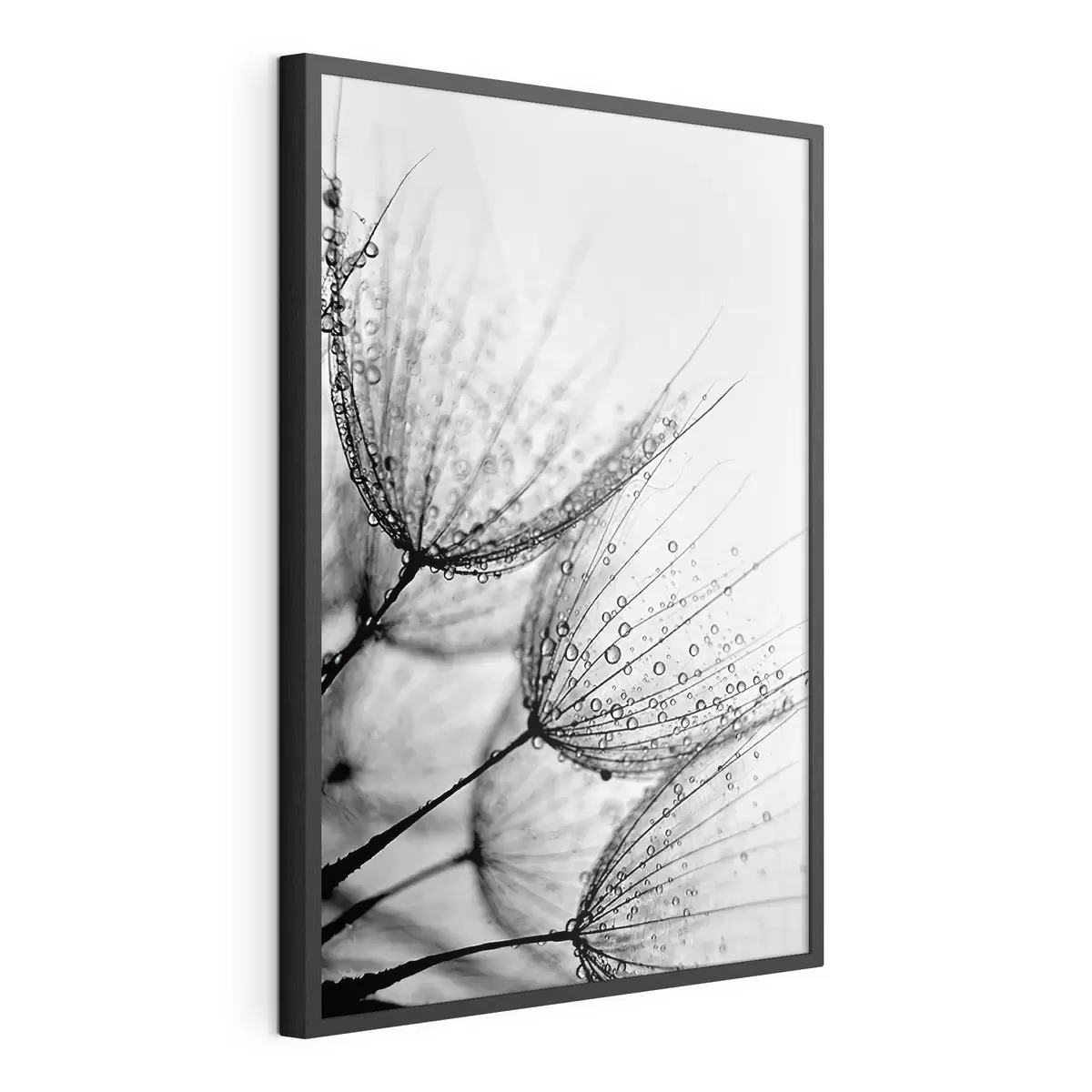 Poster Delicados patrones capturados en gotas f20828