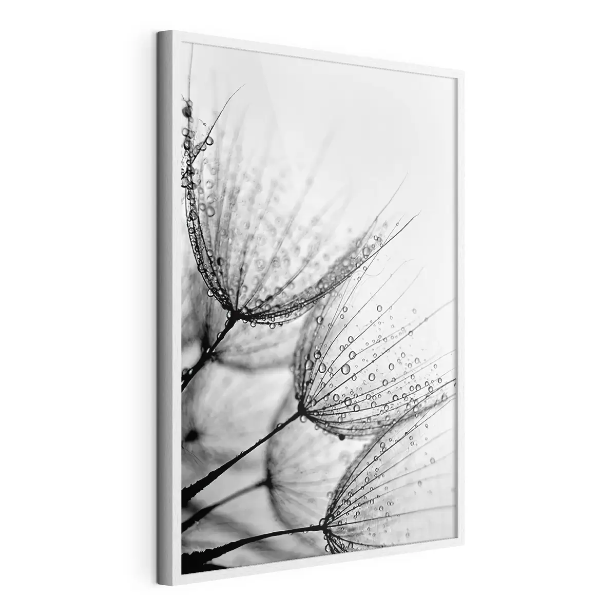 Poster Delicados patrones capturados en gotas f20828