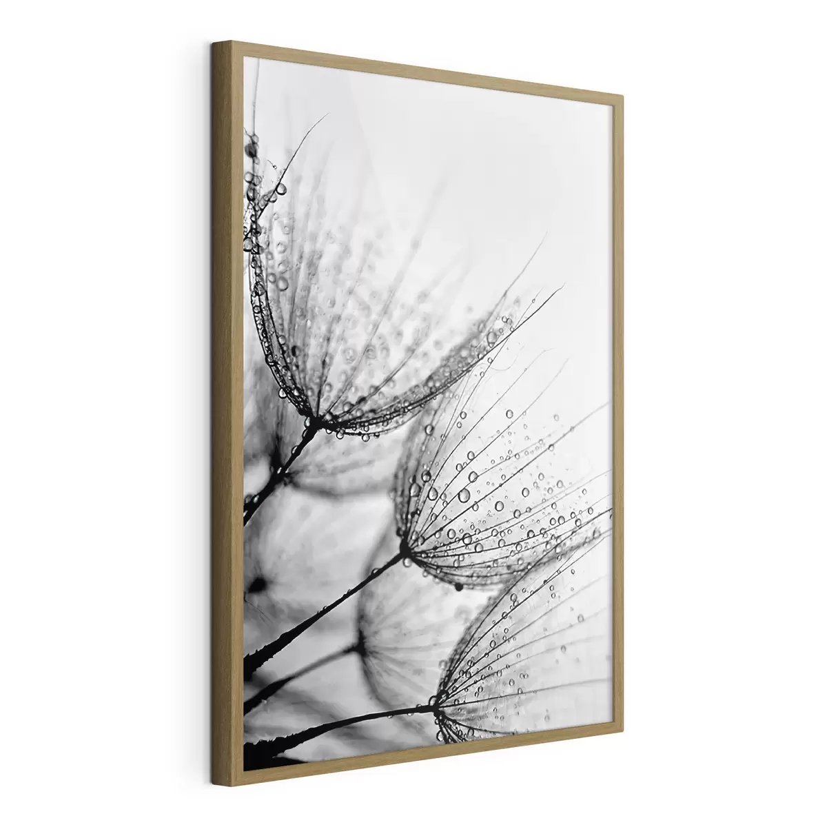 Poster Delicados patrones capturados en gotas f20828