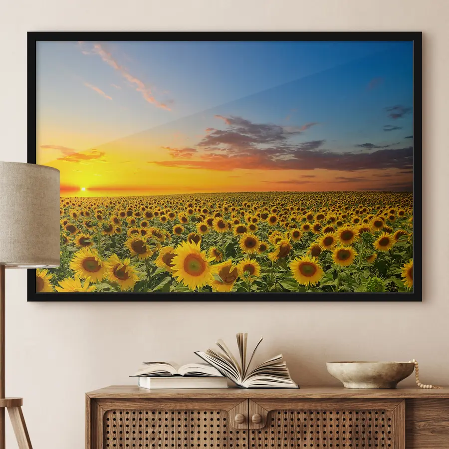 murales de pared Campo de girasoles al atardecer. Una vista preciosa. f05429