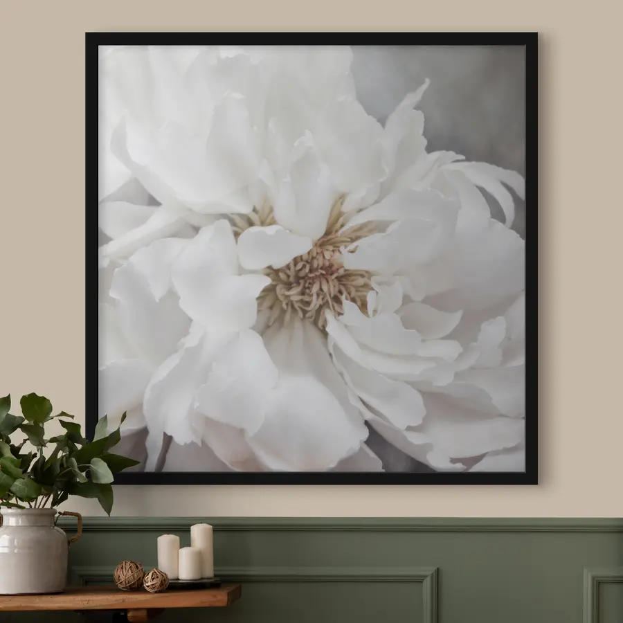 murales de pared Delicada belleza en tonos suaves f37161