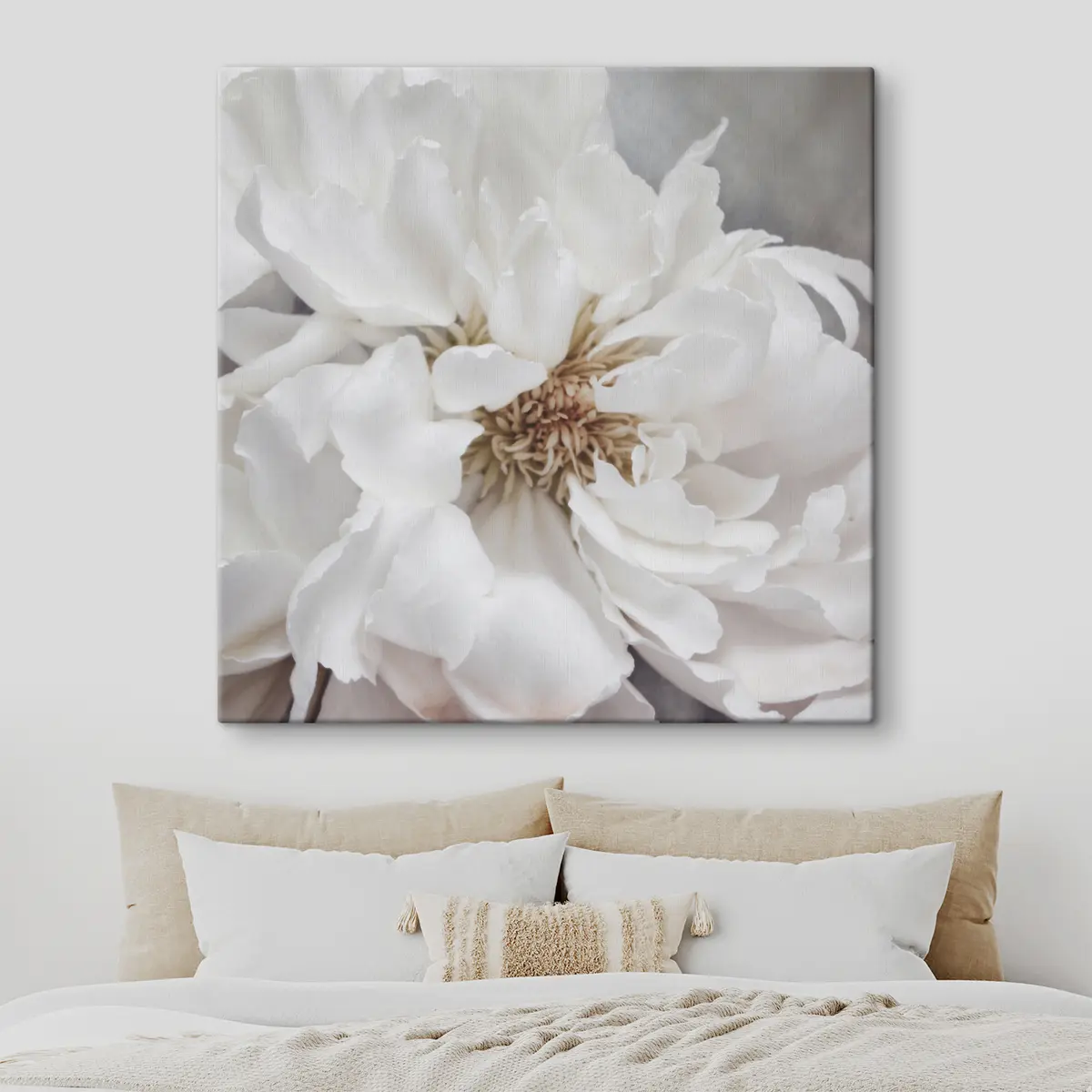 murales de pared Elegante floración blanca bajo una luz suave s37161